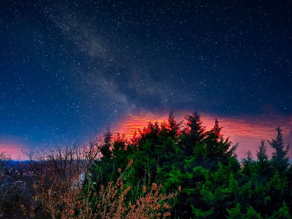 Photograph by Sandor Zoltan Gal