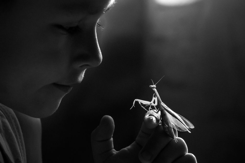 Фотография автора Vyacheslav Lozhkin