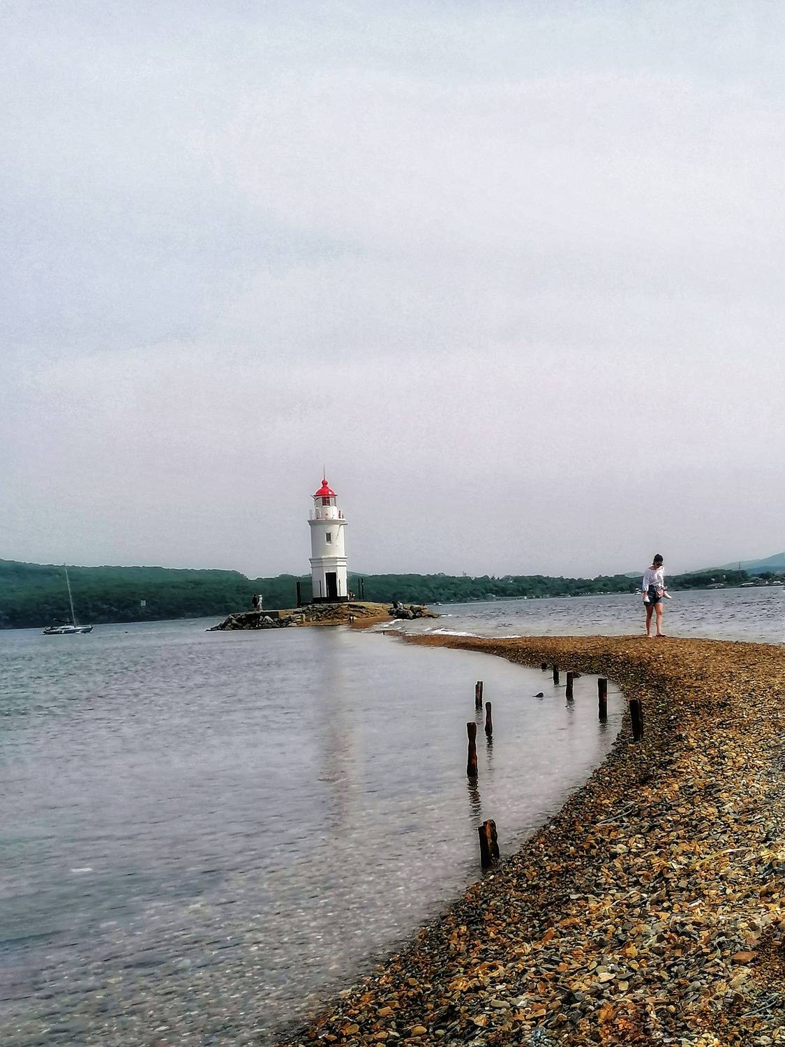 Photo #7421154