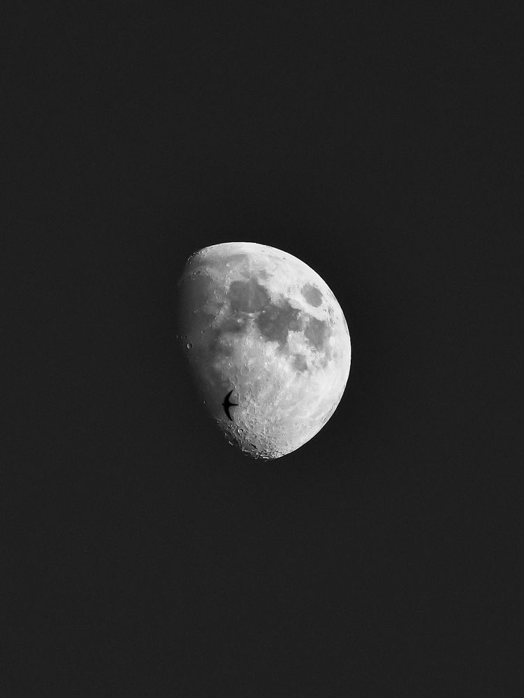 Photograph by Георгий Акопджанов