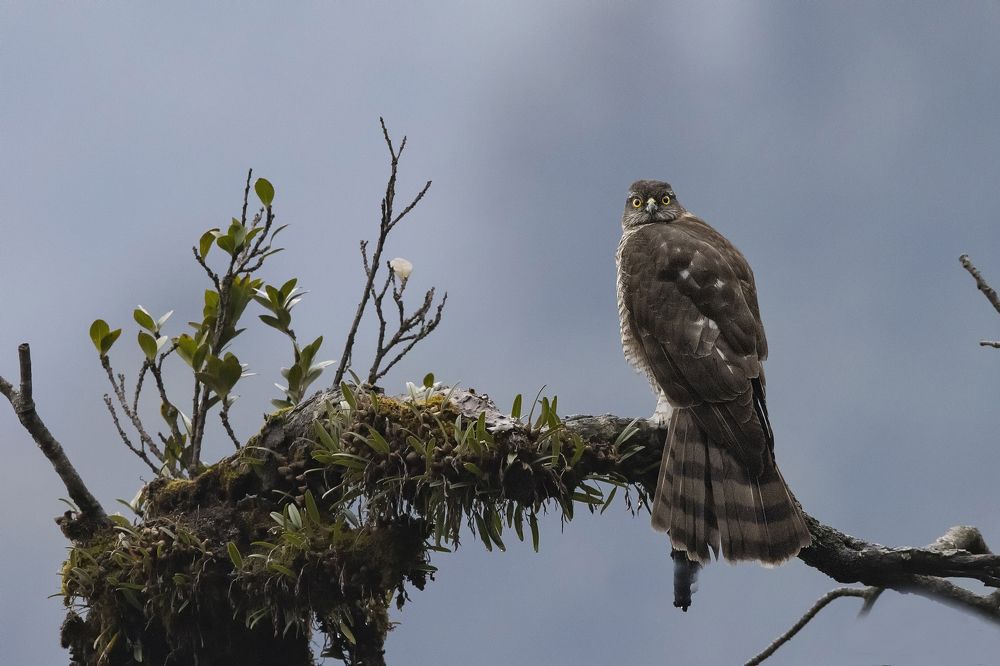 Photograph by DR ARPIT BANSAL