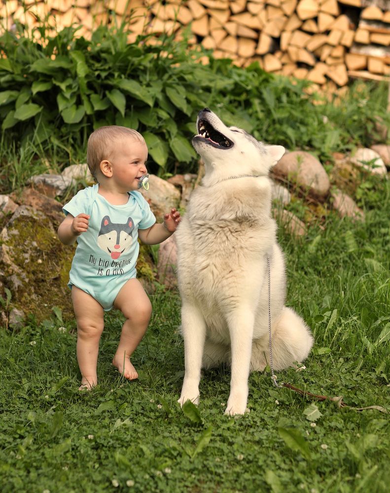 Весёлые друзья