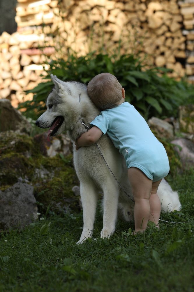 Плечо друга