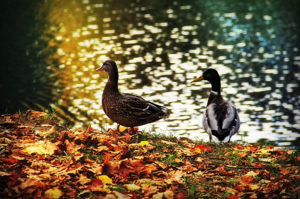 Photograph by Stas Staroverov