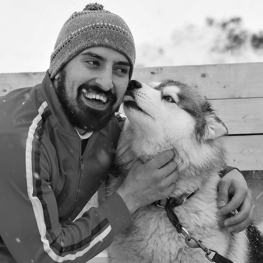 Верные друзья