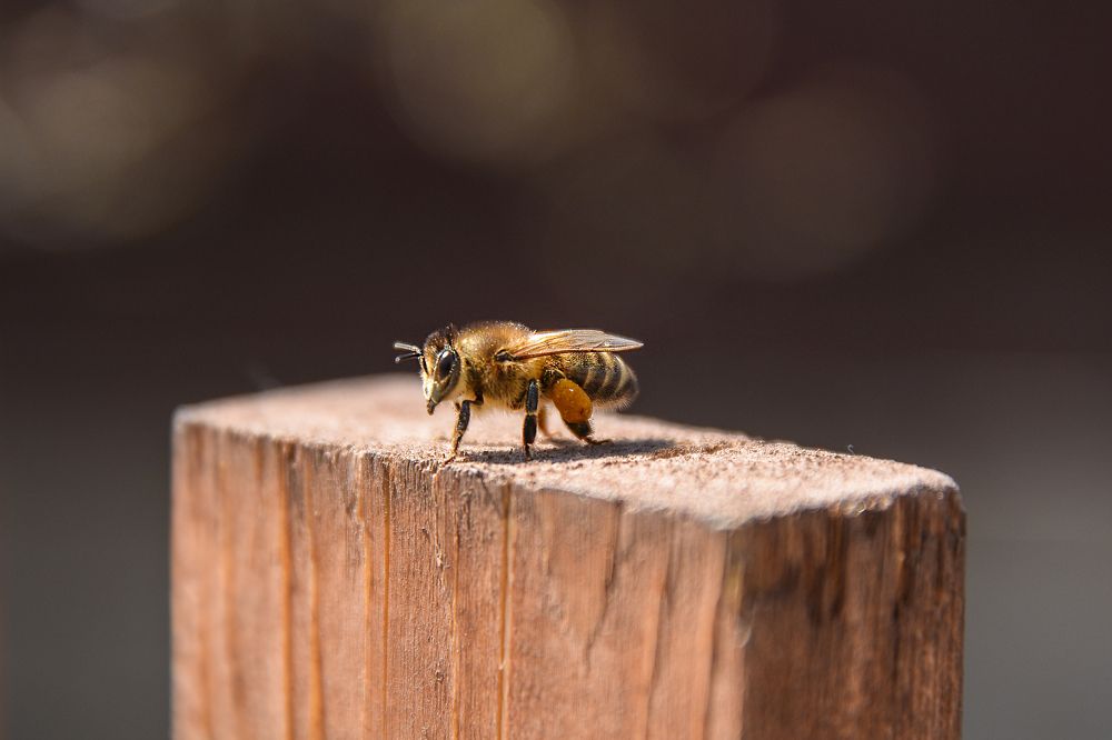 Photograph by Ольга Митина