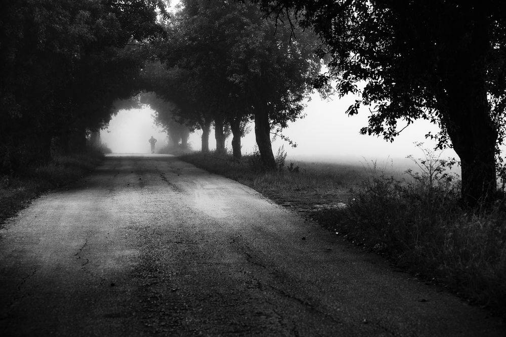 Фотография автора Tomas Kozel