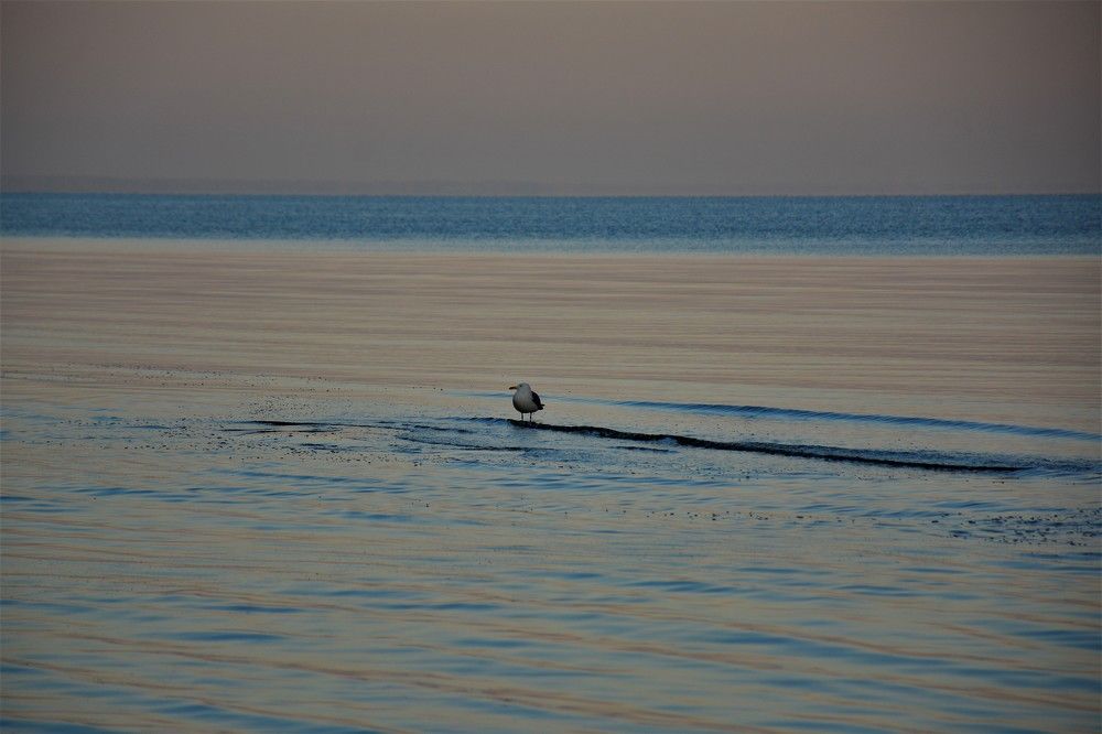 Фотография автора Linards Onzuls