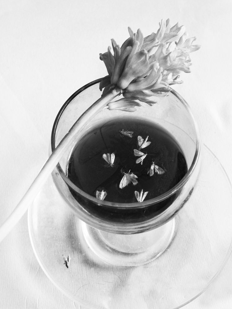 Иллюзия сна