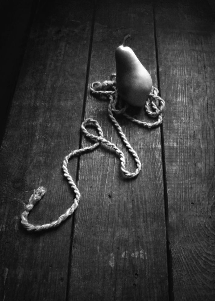 Фотография автора Vera Eremeeva