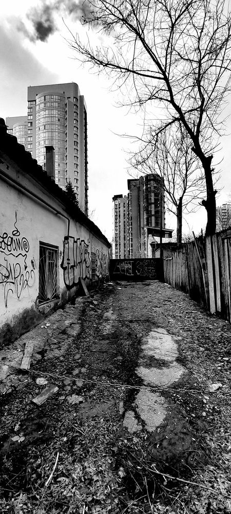 Photograph by Дмитрий Шумский