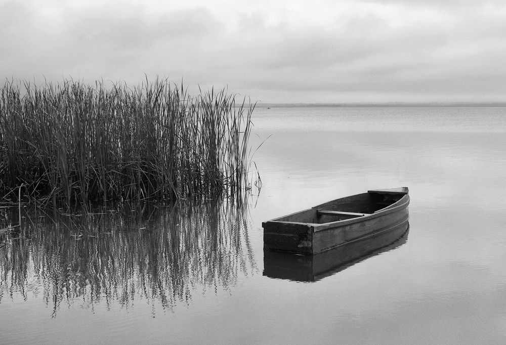 Photograph by Анна Цветковская