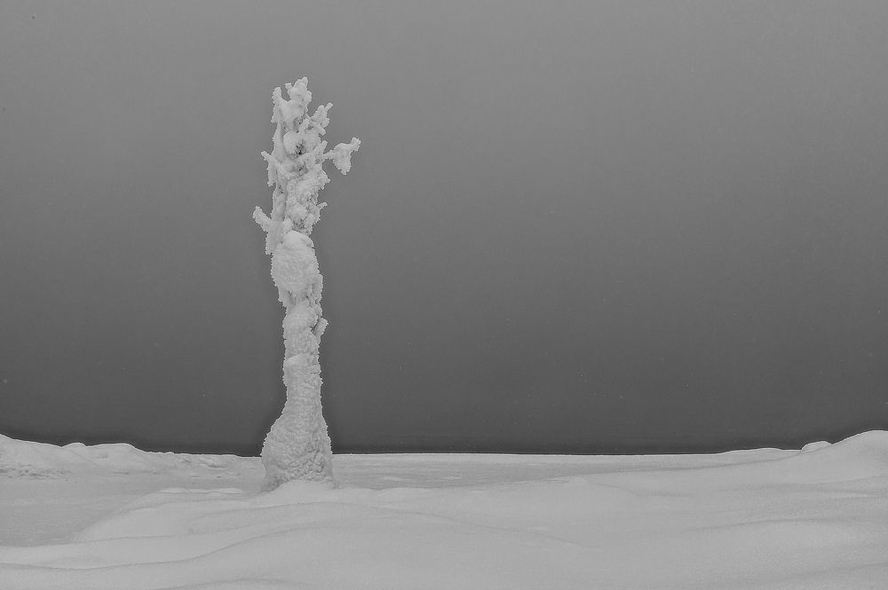 Photograph by Дмитрий Бухтик