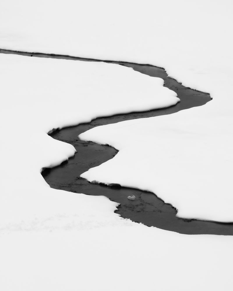 Photograph by Елизавета Калинина