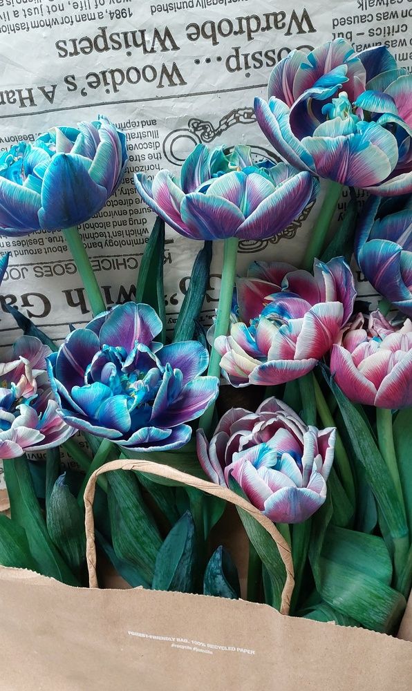 Photograph by Наталия