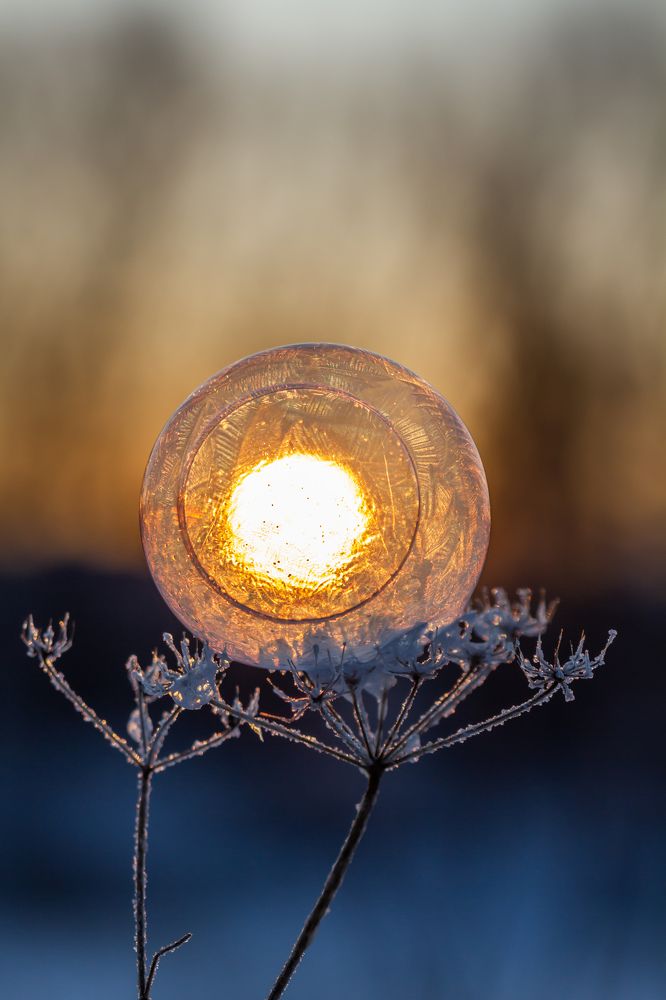 Фотография автора Andrey Pristyazhnyuk