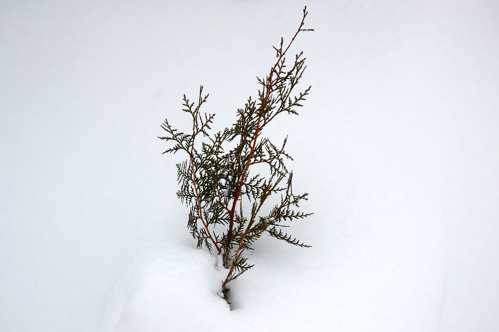 Photograph by Igor Kochkin