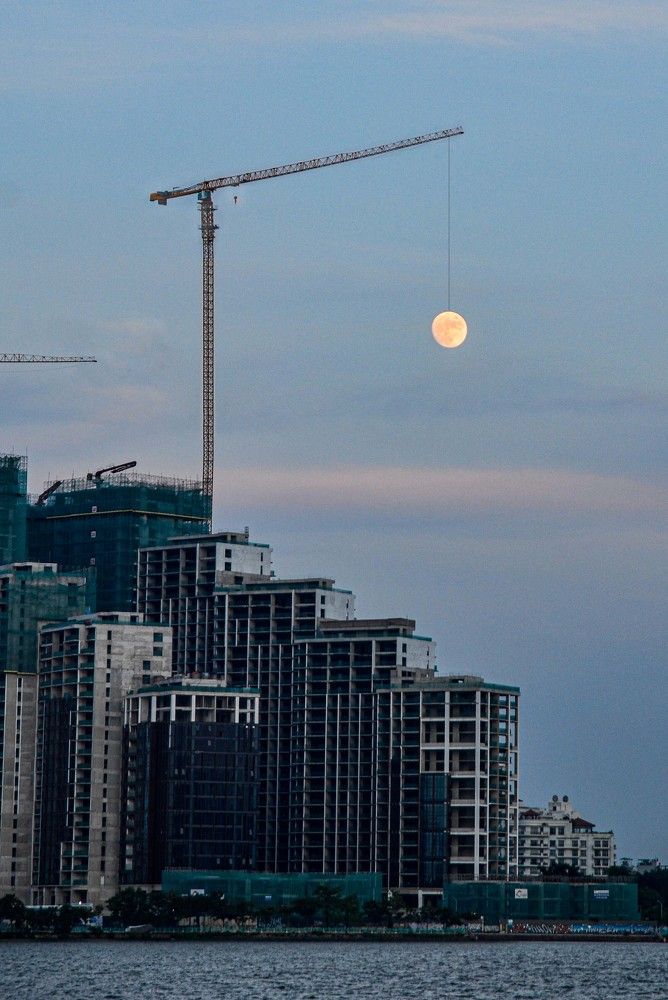 Photograph by Long Nguyễn