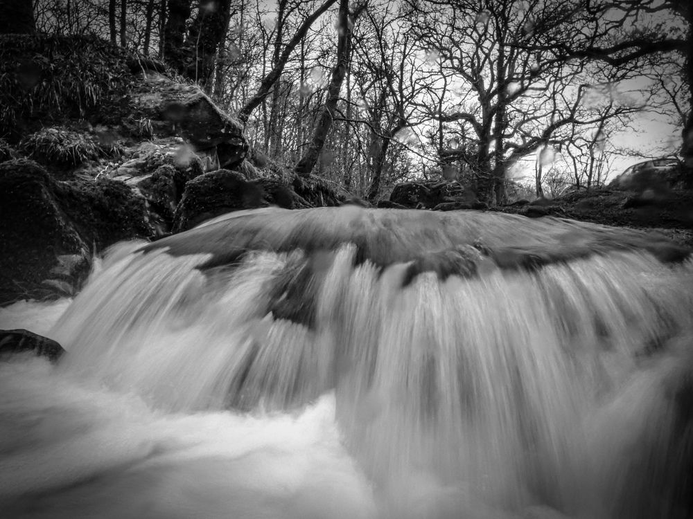 Фотография автора Michael Gault