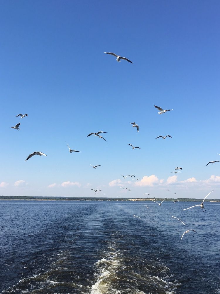 Photograph by Татьяна Павлова