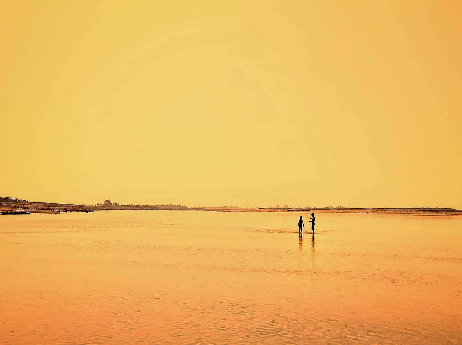 Photo #7421999