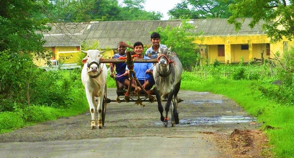 Photograph by Darshan Patil