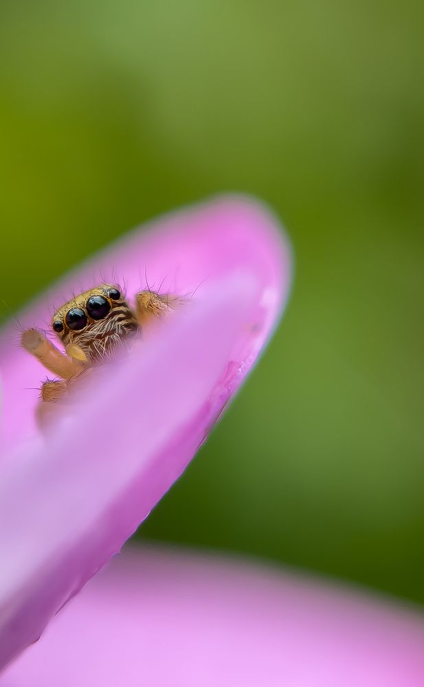 Photograph by Prasanth V