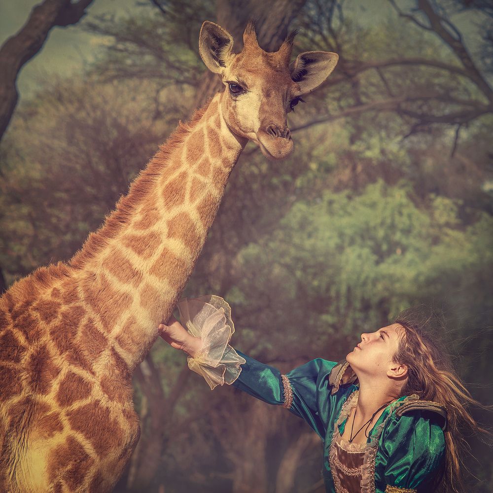 Photograph by talia duclos