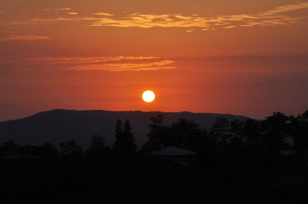 Photograph by Violeta Likhodedi