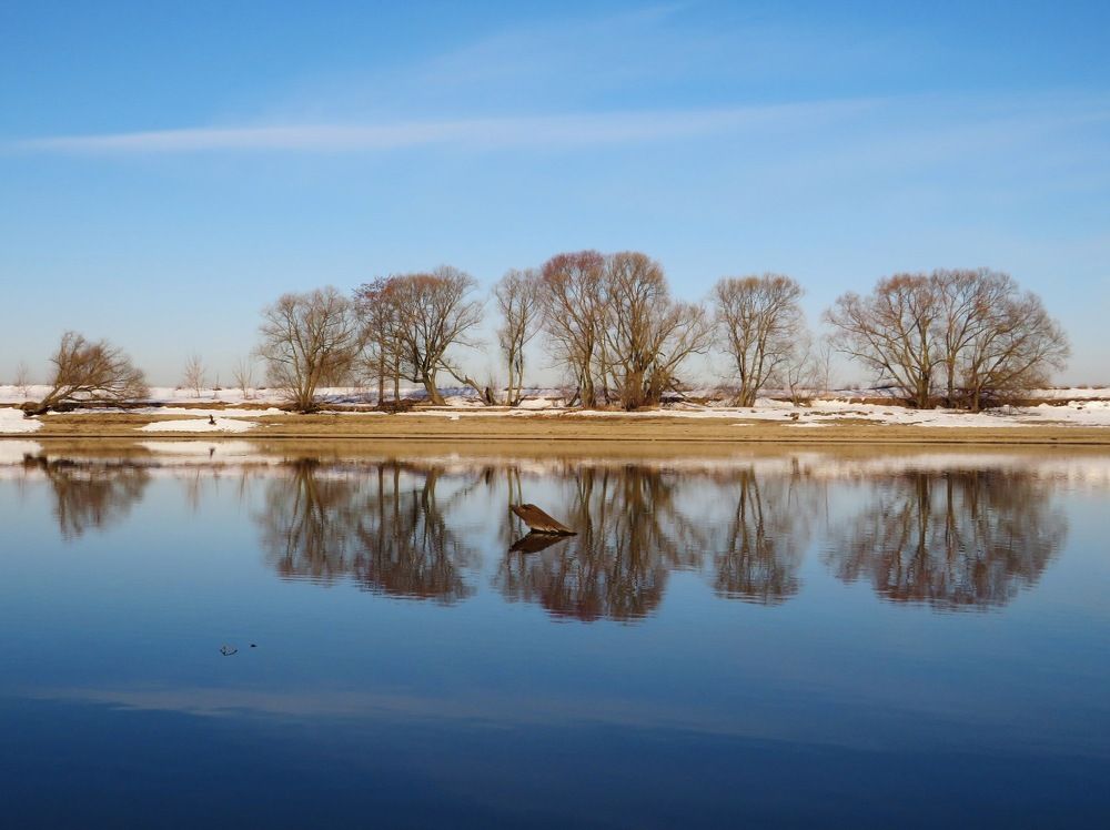 Отражение в реке