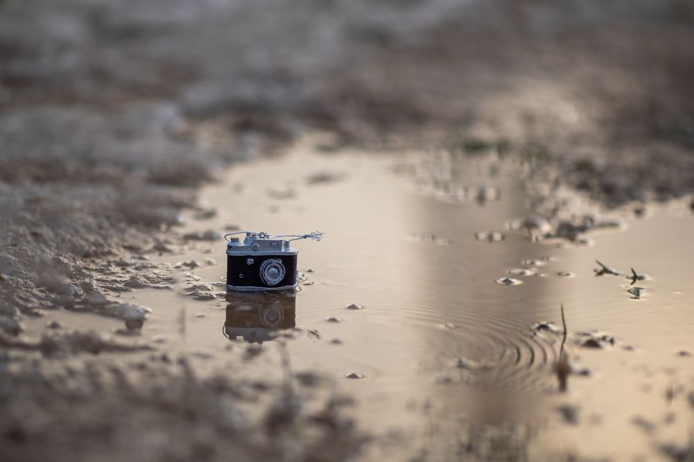 Photograph by Ольга Шайдулина