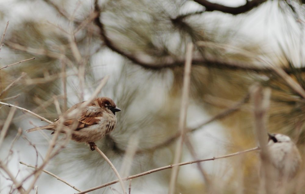 Photograph by Алёна Бондаренко