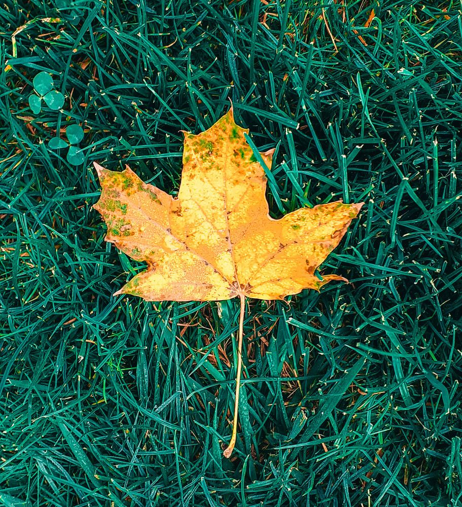 Photograph by Дмитрий Педченко