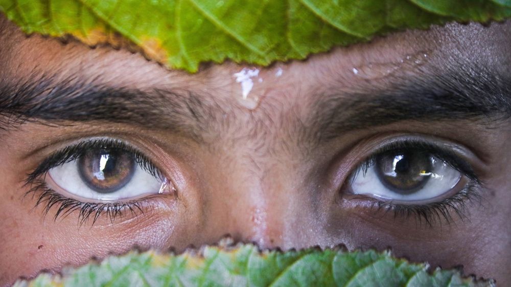 Фотография автора Israr shoukat