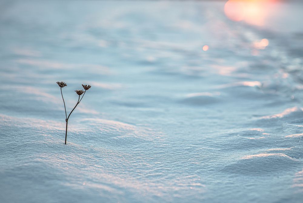 Photograph by Валерий Сарак