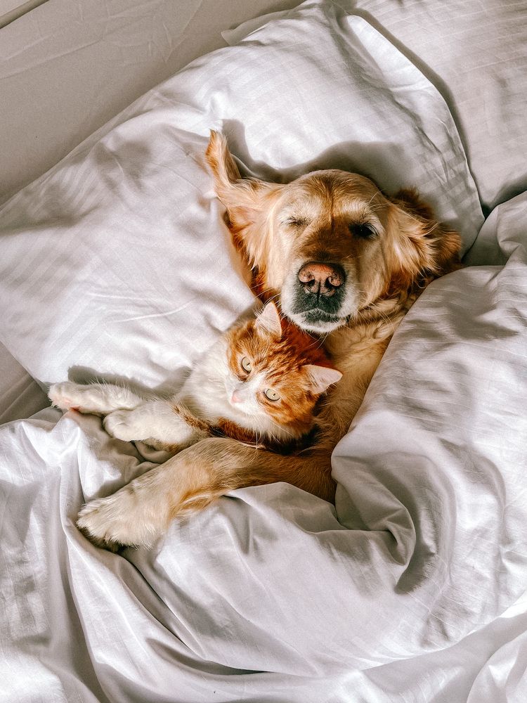 Photograph by Yuliya Altunyuva