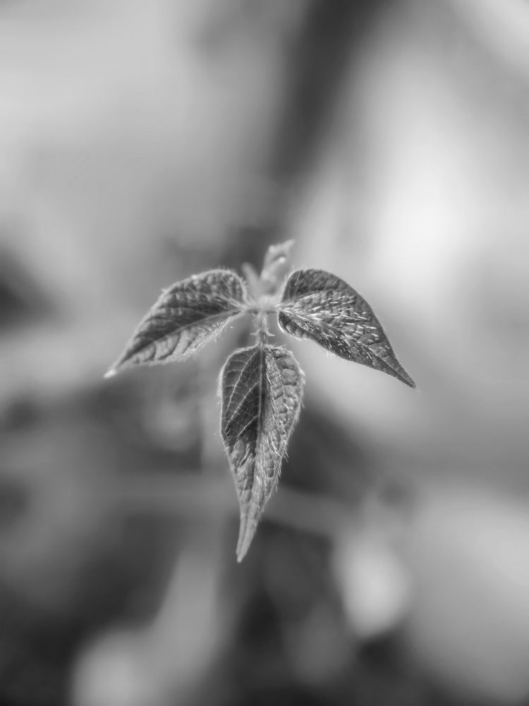 Photograph by Maryam Soleymani