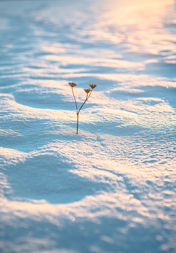 Photograph by Валерий Сарак