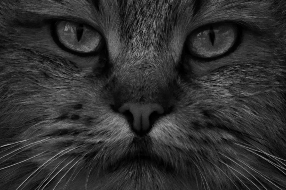 Photograph by Нелли