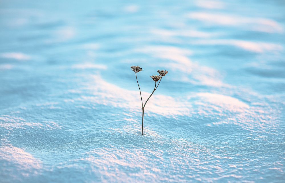 Photograph by Валерий Сарак