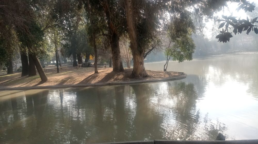 Photograph by Carlos Alberto Martínez González