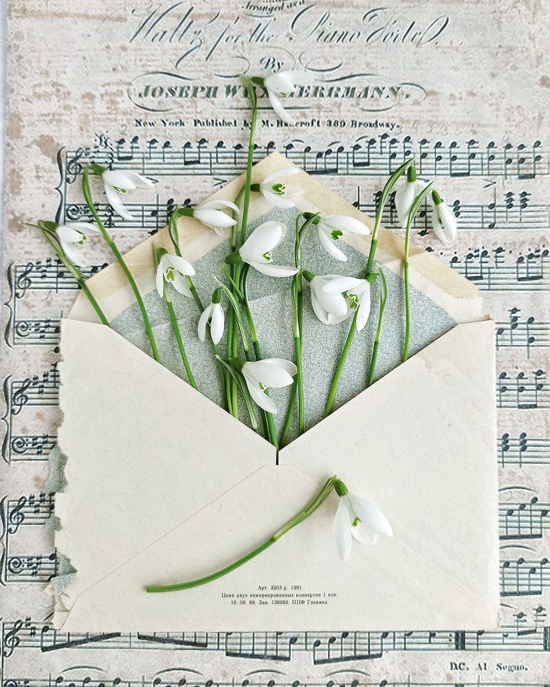 Photograph by Дина