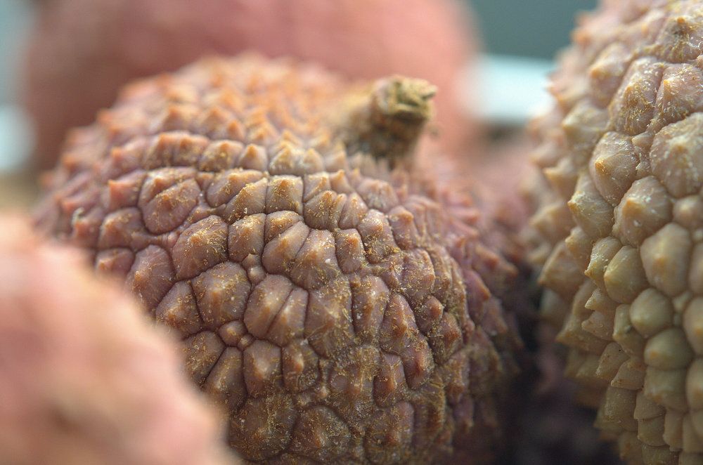 Photograph by Emil Zivanov