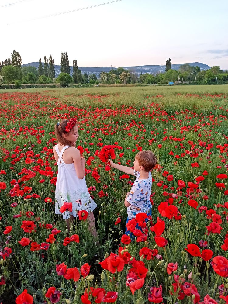 Photograph by Анна Корытина