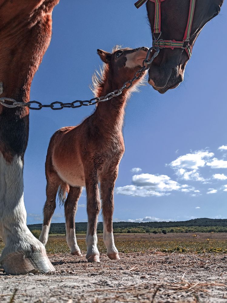 Photograph by Анна Корытина