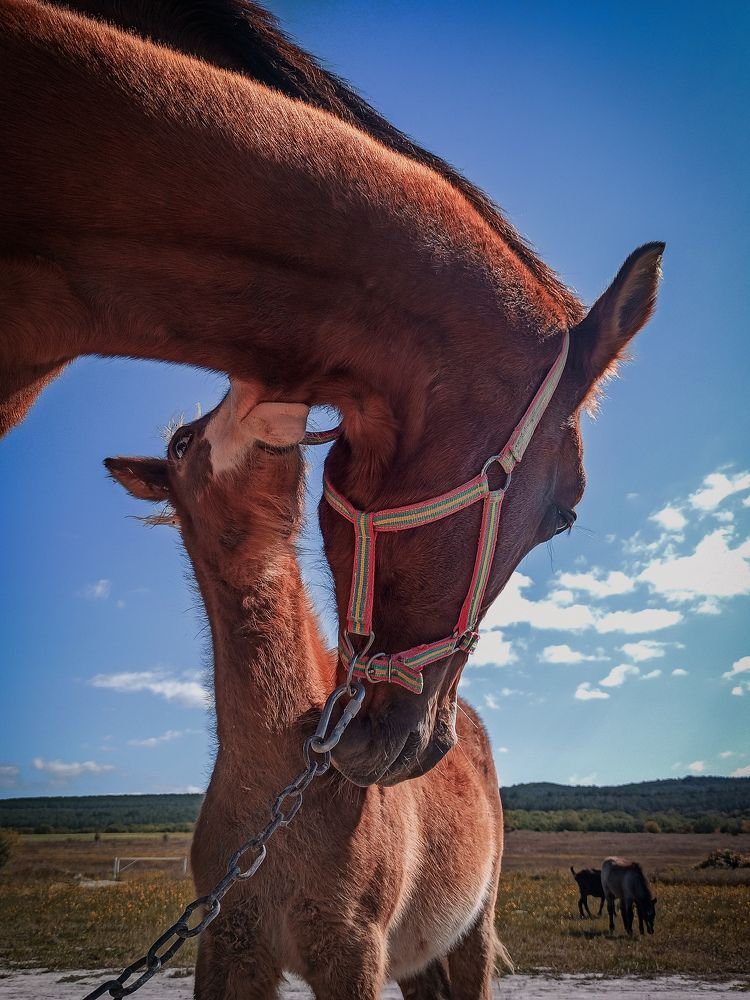 Photograph by Анна Корытина