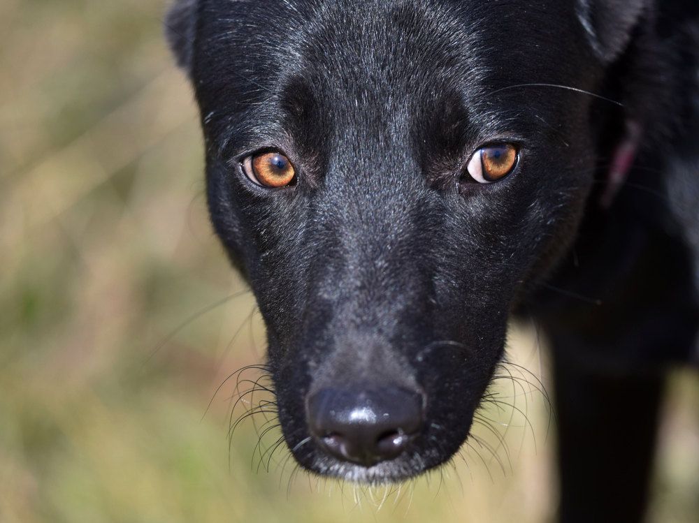 Photograph by Владимир Сафонов