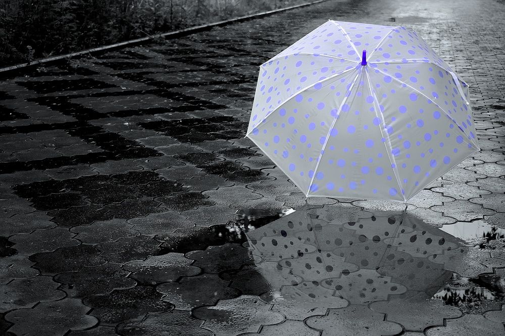 Photograph by Елена Ласун