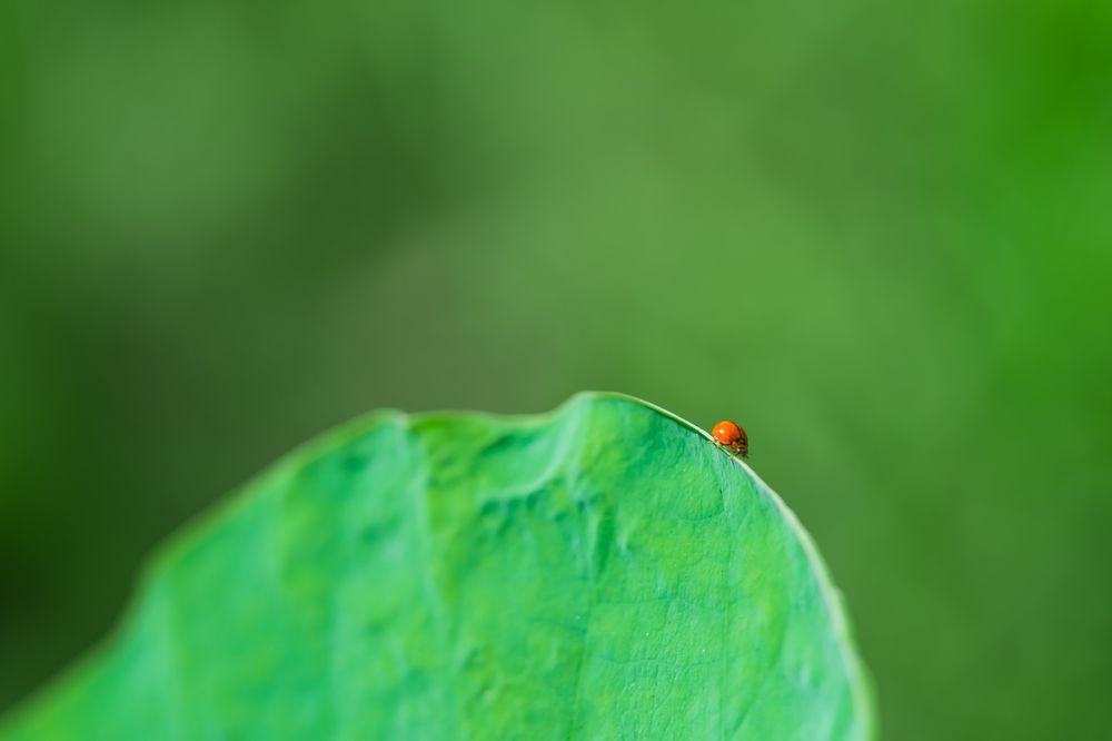 Photograph by Thu Phan