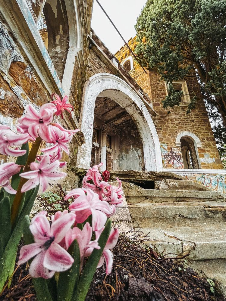 Фотография автора Виктория Калганова